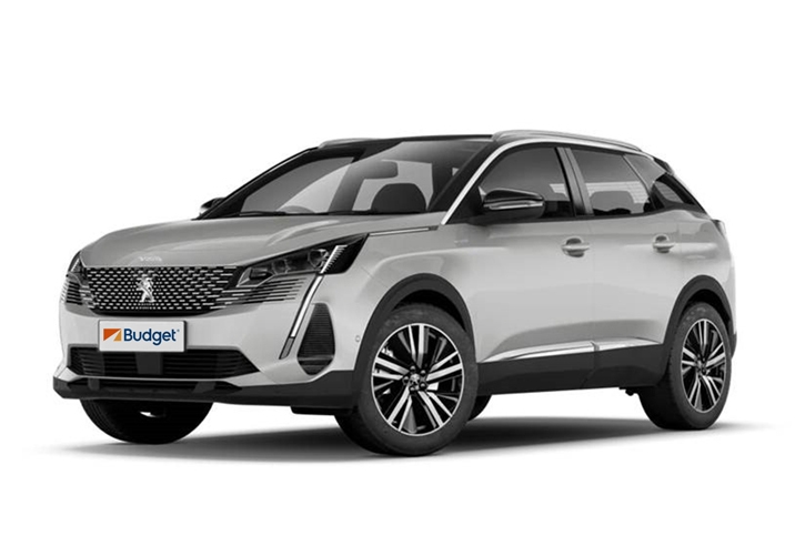 Peugeot 3008 o similar