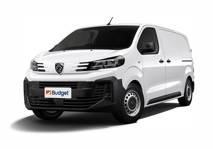 Peugeot Expert o similar